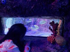 -沈阳海洋探索中心