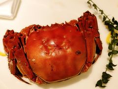 -甄御•海鲜新青岛菜(麦岛店)