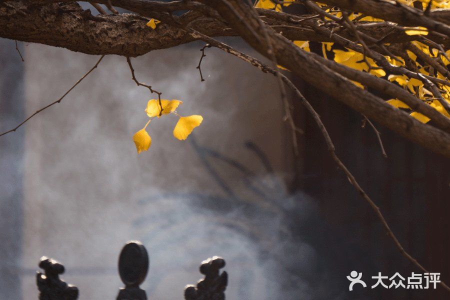 成为古楼观的中心。以后历代虽时有修葺