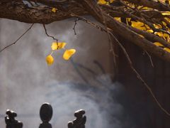 -终南山国家森林公园