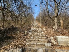 -幕燕滨江·长江观音景区