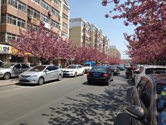 -贤花饭店(城阳店)