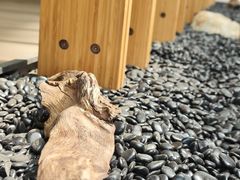 -中国天府农业博览园