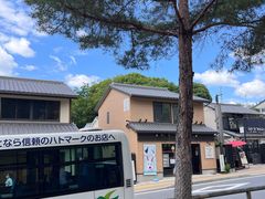 -奈良公园