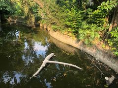 -人民公园(罗湖区)