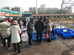 -中环花鸟鱼虫市场