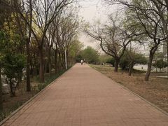 -南翠屏公园
