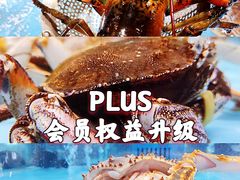 -麦德龙(浦东店)