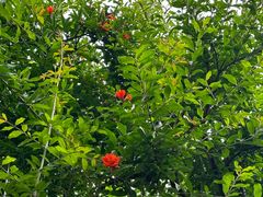 -中国昆曲博物馆