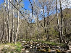-玉渡山自然风景区