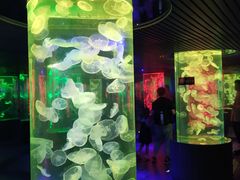 -南昌海洋公园