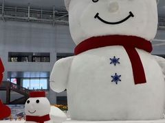 -哈尔滨热雪奇迹