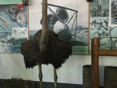 -河北村民俗体验园