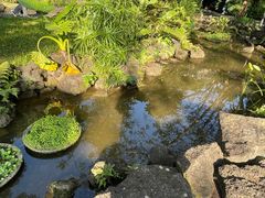 -深圳仙湖植物园