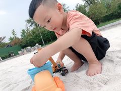 -映月湖中央公园