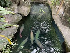 -青青世界