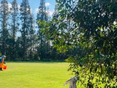 -前小桔亲子创意农场·草莓采摘·露营烧烤