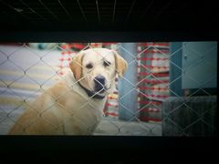 -星河国际影城(新会店)