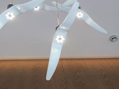 -映像威海·海鲜味道(经区店)