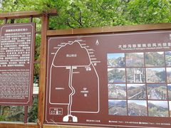-大岭沟猕猴桃谷风景区