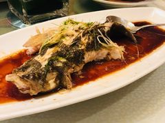 -翰林轩翰林金阁(长乐路店)