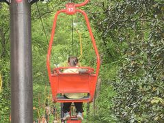 -WeLope紫金山探险公园