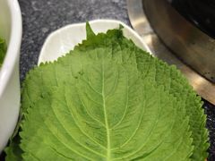 -海花锅盖烧烤店(怡馨家园店)