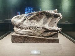 -自贡恐龙博物馆