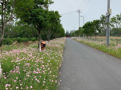 -上海长兴岛郊野公园