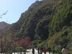 -少华山国家森林公园