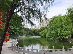 -荔湾湖公园