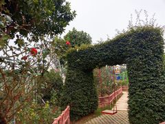 -百万葵园
