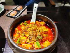 -陈麻婆豆腐总店