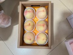 -老袁家蜜桃农场·阳山水蜜桃