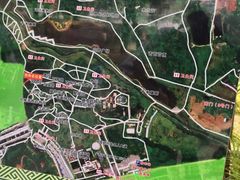 -广西壮族自治区药用植物园