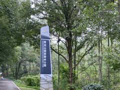 -青龙山国家森林公园