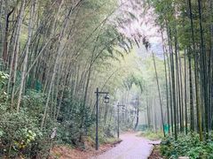 -法云安缦酒店