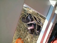 android_upload_pic-万达广场(南京江宁店)