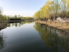 -东郊湿地公园