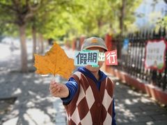 -仙人岛