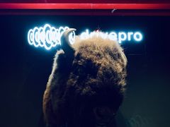 -drivepro(三里屯店)