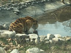 -西安秦岭野生动物园