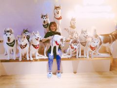 -Husky Go! 哈士奇体验馆·宠物咖啡厅狗咖