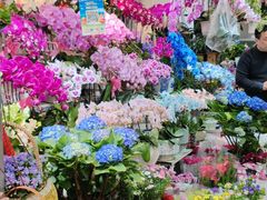 -循礼门鲜花花市(武汉循礼门店)