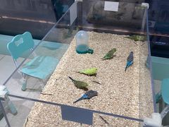 -怪兽屋·羊驼·猫咖·狗咖(俊华广场店)