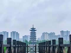 -洋湖国家湿地公园