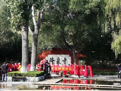 -百脉泉景区