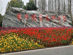-东平国家森林公园