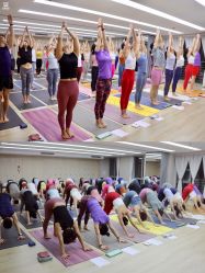 -酉嘉瑜伽YO+YOGA