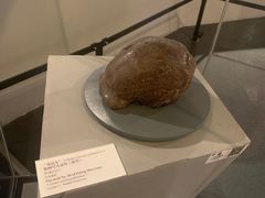 -北京周口店北京人遗址博物馆